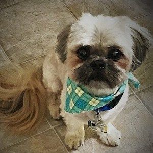 Meet your Posher, Rosann